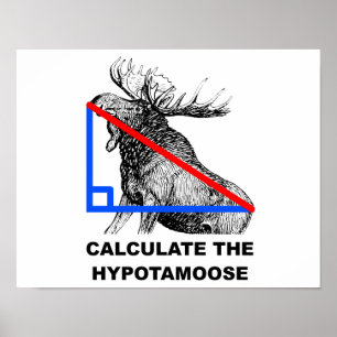 Poster Calculer l'Affiche Drôle de l'Hypotamoose