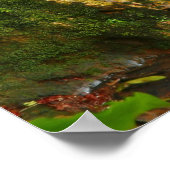 Poster Caldeira Velha, Açores (Coin)