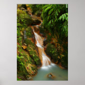 Poster Caldeira Velha, Açores (Devant)