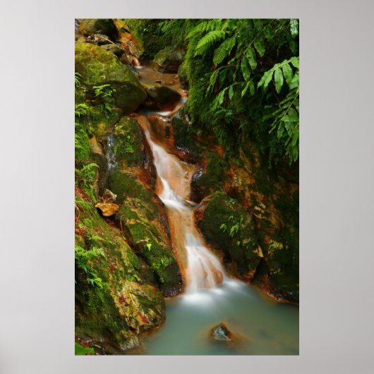 Poster Caldeira Velha, Açores (Devant)