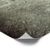 Poster Calender (Coin)