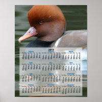 Calendrier 2013 du canard sauvage