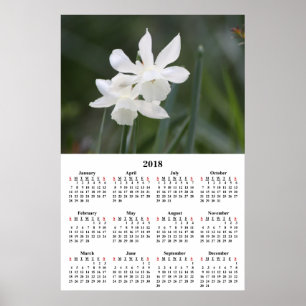 Poster Calendrier 2018 Daffodils blancs Photographie