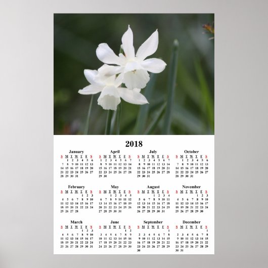 Poster Calendrier 2018 Daffodils blancs Photographie (Devant)