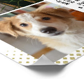 Poster Calendrier 2023 (voir description pour la version (Coin)