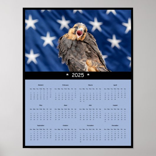 Poster Calendrier 2025 ADiplomado Falcon (Devant)