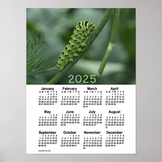 Poster Calendrier 2025 de la chenille d'avale par Janz (Devant)