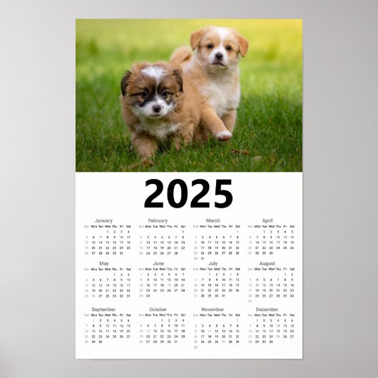 Poster Calendrier 2025 des mignons chiots (Devant)