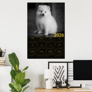 Poster Calendrier 2026 de chiot Bichon Frise