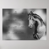 Poster Calendrier annuel beau cheval étalon (Devant)