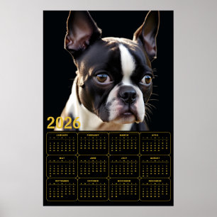 Poster Calendrier Boston Terrier 2026