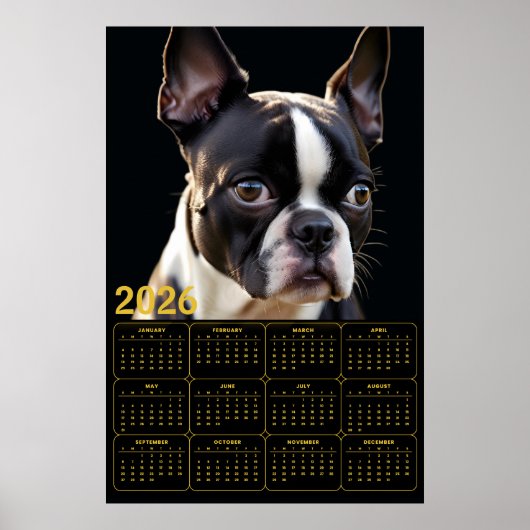Poster Calendrier Boston Terrier 2026 (Devant)