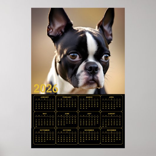 Poster Calendrier Boston Terrier 2026 (Devant)
