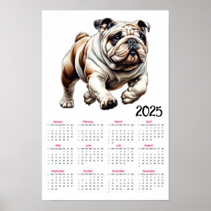 Poster Calendrier Bulldog 2025