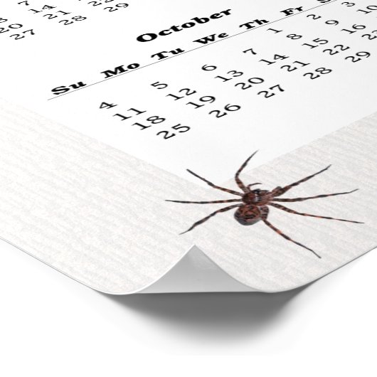 Poster Calendrier des araignées de loup 2015 (Coin)