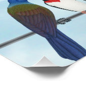 Poster Calendrier des oiseaux jardins 2026 (Coin)
