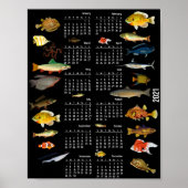 Poster Calendrier des poissons comme (Devant)