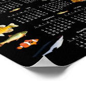 Poster Calendrier des poissons comme (Coin)