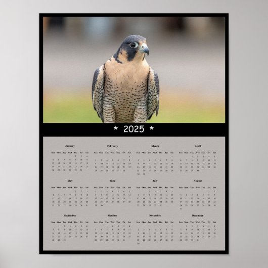 Poster Calendrier du faucon pèlerin 2025 (Devant)