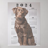 Poster Calendrier Mural 2024 Labrador Retriever au Chocol (Devant)