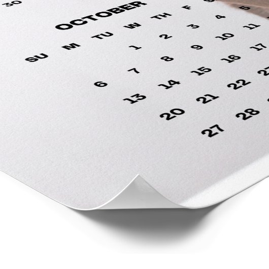 Poster Calendrier Mural 2024 Labrador Retriever Chocolat (Coin)