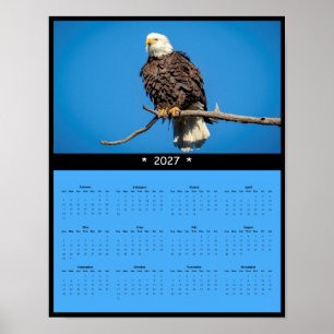 Poster Calendrier mural 2027 Aigle royal - Regard perçant