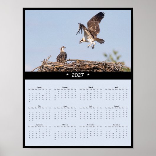 Poster Calendrier mural 2027 Balbuzard - Oiseaux côtiers (Devant)