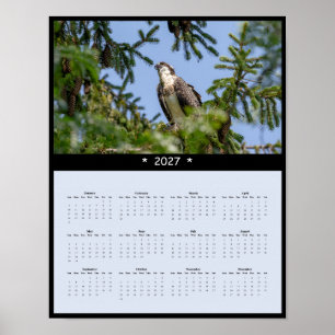 Poster Calendrier Mural 2027 Balbuzard - Photo du Faucon