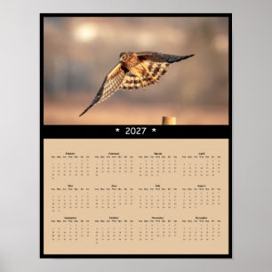 Poster Calendrier mural 2027 Busard Saint-Martin Faucon à