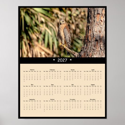Poster Calendrier mural 2027 Buse à épaulettes - Forêt (Devant)
