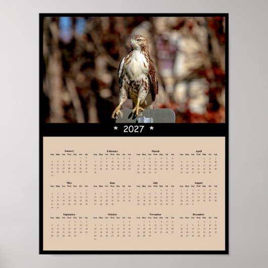 Poster Calendrier mural 2027 Buse à queue rousse Faucon p (Devant)