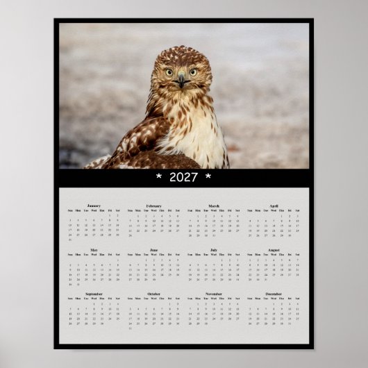 Poster Calendrier mural 2027 Buse à queue rousse - Grands (Devant)