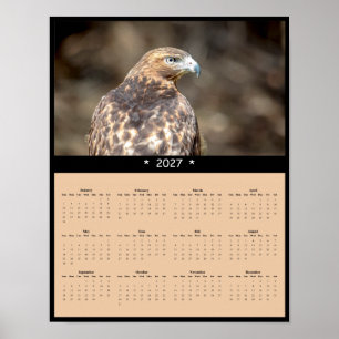 Poster Calendrier mural 2027 Buse à queue rousse - Horizo