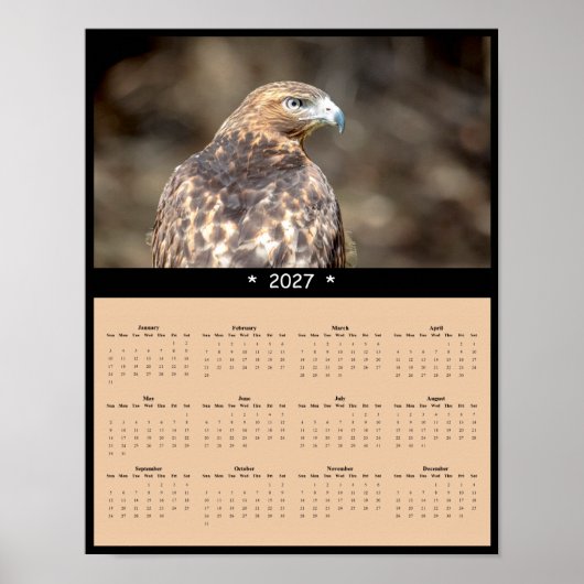 Poster Calendrier mural 2027 Buse à queue rousse - Horizo (Devant)