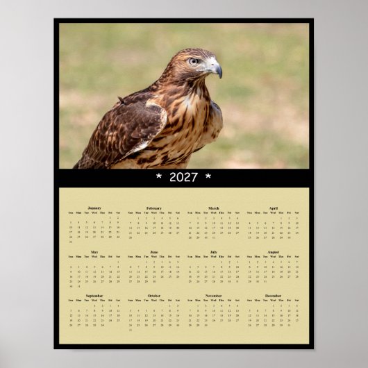 Poster Calendrier mural 2027 Buse à queue rousse - Raptor (Devant)