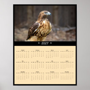 Poster Calendrier mural 2027 Buse à queue rousse - Raptor