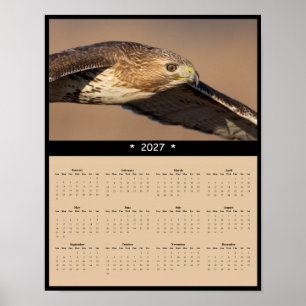 Poster Calendrier mural 2027 Buse à queue rousse - Raptor