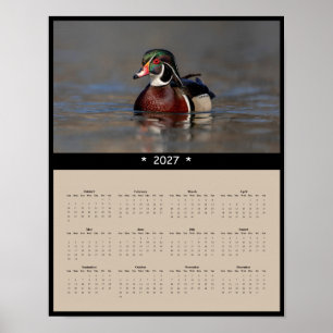 Poster Calendrier mural 2027 Canard branchu - Nature Oise