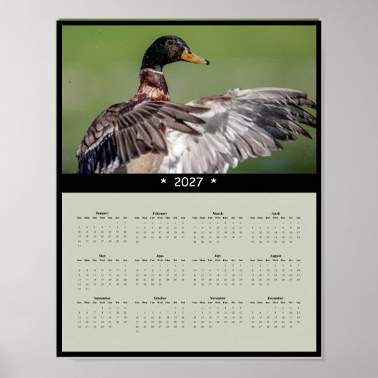Poster Calendrier mural 2027 Canard colvert - Faune (Devant)
