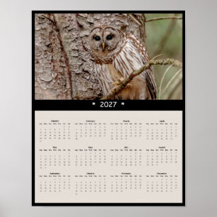 Poster Calendrier Mural 2027 Chouette Barree - Échos de l