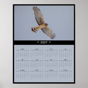 Poster Calendrier mural 2027 de la Busard Saint-Martin -