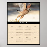 Calendrier mural 2027 de la Buse à épaulettes imma