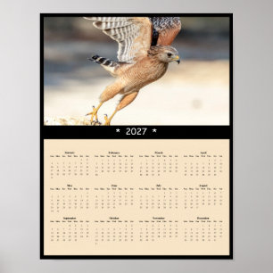 Poster Calendrier mural 2027 de la Buse à épaulettes imma