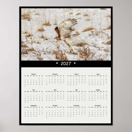 Poster Calendrier mural 2027 de la Buse à queue rousse - (Devant)