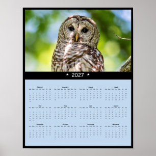 Poster Calendrier mural 2027 de la Chouette barrée - Yeux