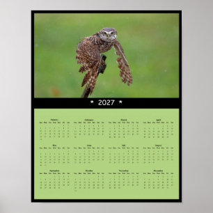 Poster Calendrier Mural 2027 de la Chouette Chevêche - Ga