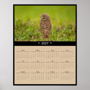 Poster Calendrier mural 2027 de la chouette des terriers 