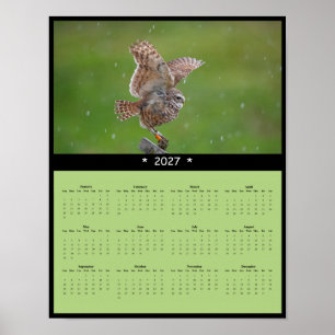 Poster Calendrier mural 2027 de la chouette des terriers