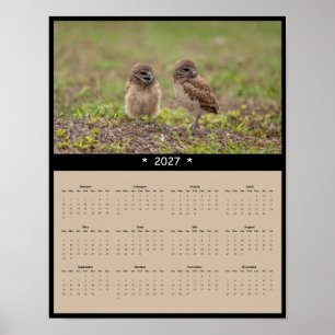 Poster Calendrier mural 2027 des hiboux terriers - Famill