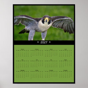Poster Calendrier mural 2027 du faucon pèlerin